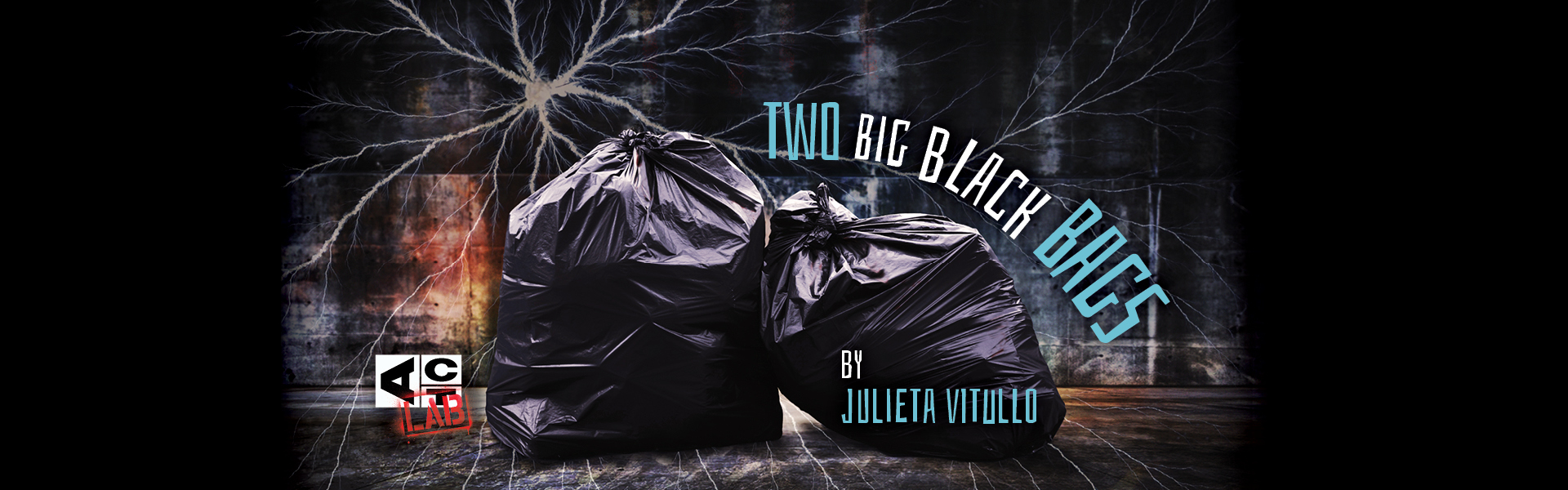 Two Big Black Bags